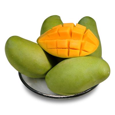 海南大个青芒果