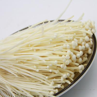 精品金针菇1份 约500g