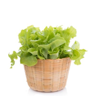 生菜 约500g
