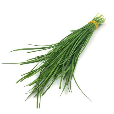 韭菜 约500g