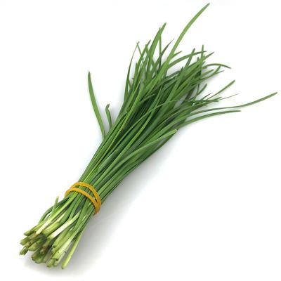 韭菜 约500g