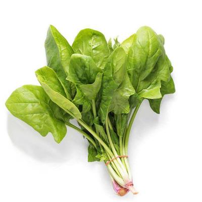 菠菜 约500g