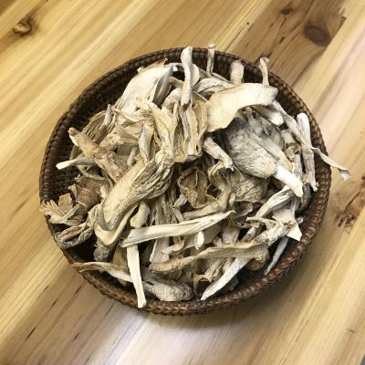 农家自制天然野生菌鸡腿蘑温州永嘉土特产年货