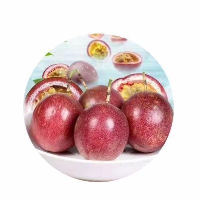 温州三江街道百香果采摘园5斤装（包邮）