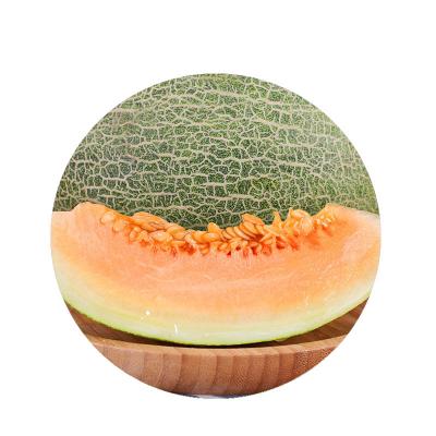 哈密瓜新鲜水果