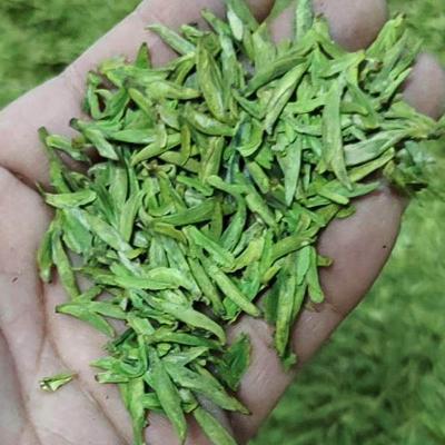 浙江乌牛早实业股份有限公司