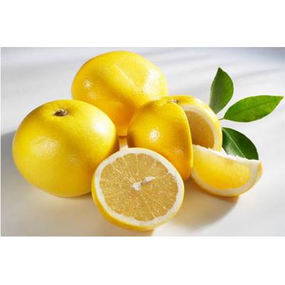 毛重大果邹记柚子