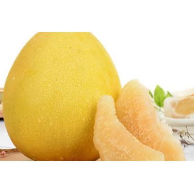 毛重大果邹记柚子