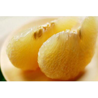 毛重大果邹记柚子