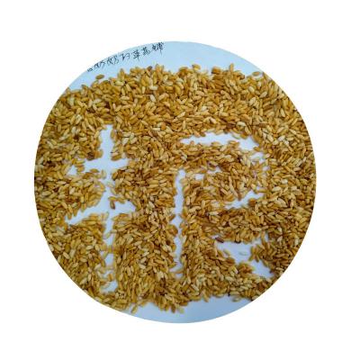 老奶奶的炒米《本草纲目》
